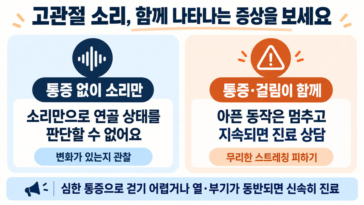고관절 소리 발생 시 통증 동반 여부에 따른 대처 원칙 인포그래픽