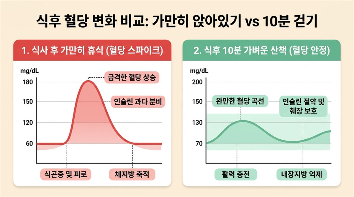 식후 혈당 변화 비교: 가만히 앉아있기 vs 10분 걷기